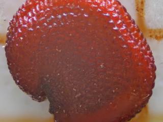 Img.VTax2035.Ex2.Img11