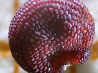 Img.VTax2035.Ex2.Img3
