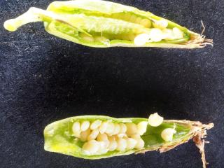 Img.VTax2035.Ex2.Img6