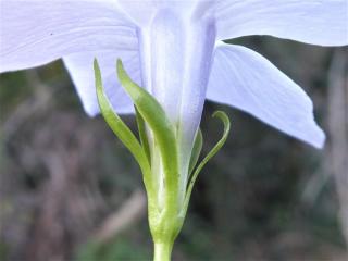 Img.VTax2289.Ex2.Img3