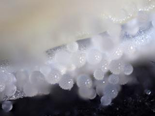 Img.VTax2302.Ex1.Img6