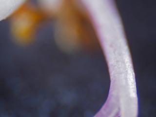 Img.VTax2425.Ex1.Img4