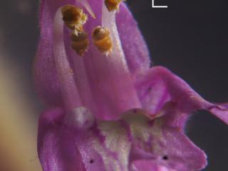 Img.VTax2425.Ex1.Img5