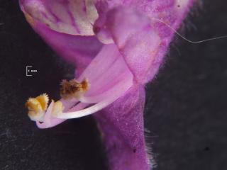 Img.VTax2425.Ex1.Img6