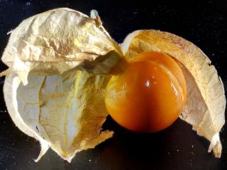 Img.VTax2553.Ex2.Img6