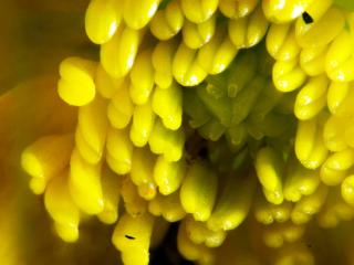 Img.VTax257.Ex2.Img7