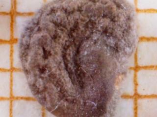 Img.VTax2572.Ex1.Img1