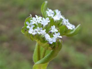 Img.VTax2882.Ex1.Img5