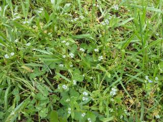 Img.VTax2882.Ex1.Img6