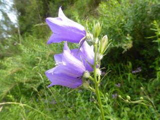 Img.VTax2946.Ex1.Img3