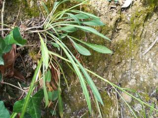 Img.VTax2946.Ex1.Img5