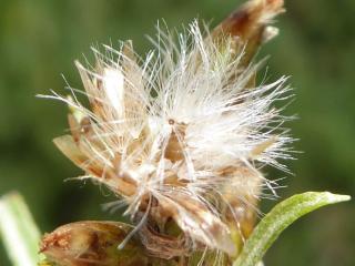 Img.VTax3029.Ex2.Img6