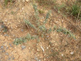 Img.VTax3075.Ex2.Img1