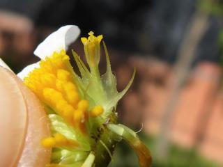 Img.VTax3089.Ex1.Img3