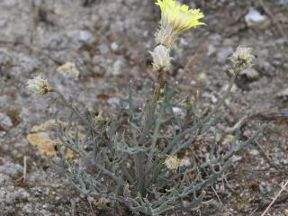 Img.VTax3345.Ex1.Img1
