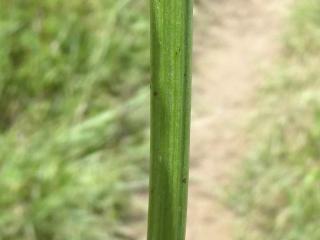 Img.VTax3389.Ex2.Img4