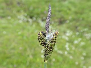 Img.VTax3766.Ex1.Img1