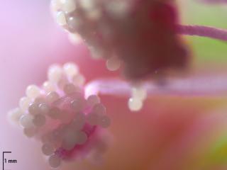 Img.VTax4590.Ex1.Img11
