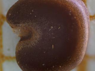 Img.VTax4590.Ex1.Img3