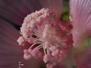 Img.VTax4590.Ex1.Img6