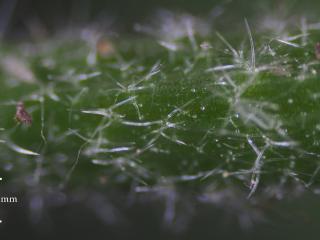 Img.VTax4590.Ex1.Img9