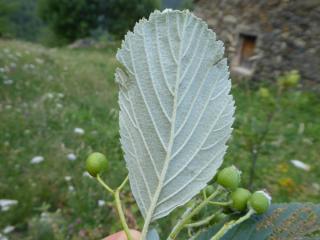 Img.VTax505.Ex2.Img1