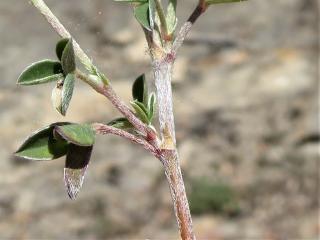 Img.VTax593.Ex2.Img7