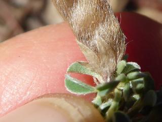Img.VTax593.Ex3.Img3