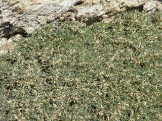 Img.VTax604.Ex2.Img5