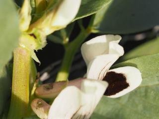 Img.VTax637.Ex1.Img1
