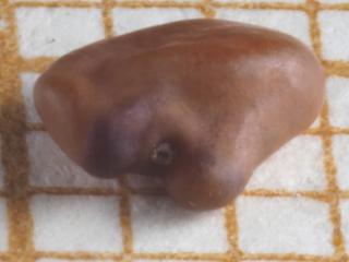 Img.VTax741.Ex1.Img1