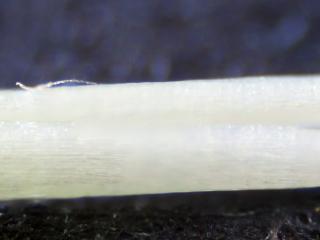 VTax2035.Ex2.Img7