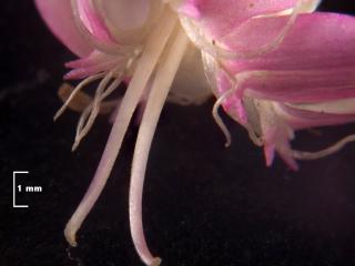 VTax2035.Ex2.Img8