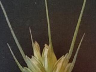VTax3823.Ex4.Img4