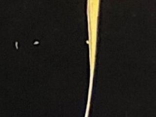 VTax3879.Ex1.Img1