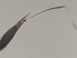 VTax4060.Ex1.Img2