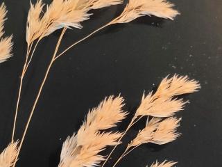 VTax4060.Ex1.Img3