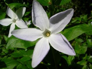 VTax2289.imgprincipal