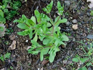 VTax2882.imgprincipal