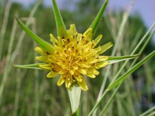 VTax3337.imgprincipal