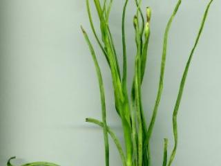 VTax3342.imgprincipal