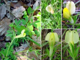 VTax843.imgprincipal