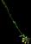 VTax1165.imgprincipal