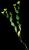 VTax1562.imgprincipal