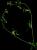 VTax1577.imgprincipal