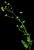VTax1607.imgprincipal