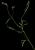VTax1625.imgprincipal