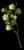 VTax1684.imgprincipal