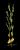 VTax2263.imgprincipal