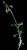 VTax2407.imgprincipal